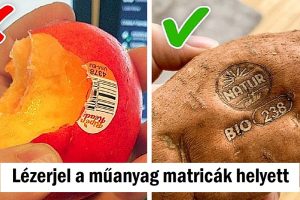 20 szuper tervezés, amiről eszünkbe jut, hogy meg kell mentenünk ezt a bolygót