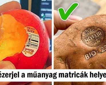 20 szuper tervezés, amiről eszünkbe jut, hogy meg kell mentenünk ezt a bolygót