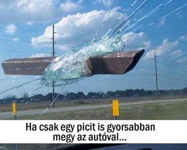 20+ személy, akinek biztosan van saját őrangyala
