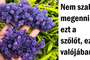 15+ dolog, amely egy vagy 2 szempillantás alatt felfedi valódi önmagát