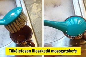 20+ személy, aki a maximalisták páholyában lakik