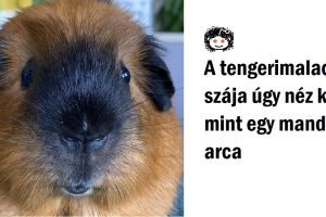 18 kép, ami tényleg megkavarja az agyunkat