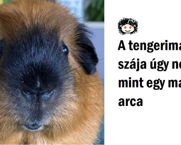 18 kép, ami tényleg megkavarja az agyunkat