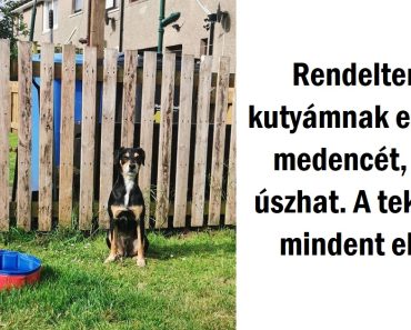 15 internetező, aki teljesen biztos, hogy nem fog semmit online rendelni többet
