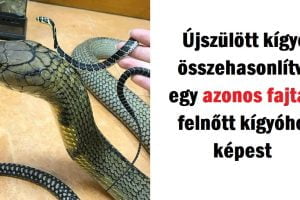 20 ritka kép, amely megváltoztatja az életszemléleted