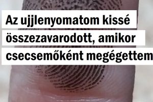 19 ember, akik találkoztak egy hétköznapi dologgal, de megláttak rajta valami szokatlant