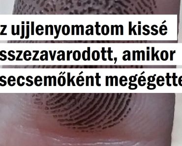 19 ember, akik találkoztak egy hétköznapi dologgal, de megláttak rajta valami szokatlant
