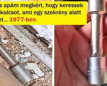 16 fotó, amiben több van, mint egy egyszerű sztori