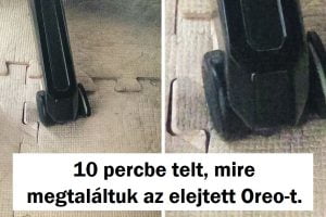 17 példa a tökéletes álcázásra, amitől minden ninja sárga lesz az irigységtől