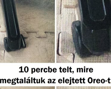 17 példa a tökéletes álcázásra, amitől minden ninja sárga lesz az irigységtől