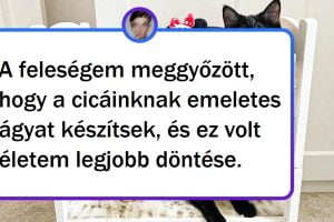 15+ szerető ember, aki nem ismer határokat, amikor elkényezteti a házi kedvenceit.