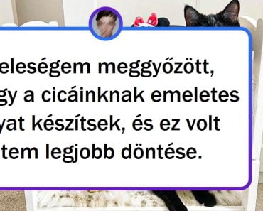 15+ szerető ember, aki nem ismer határokat, amikor elkényezteti a házi kedvenceit.