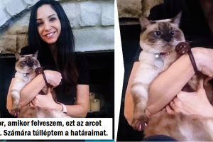 20+ cica, akinek fogalma sincs róla, hogyan kellene viselkednie a szerető gazdájával