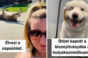 20 fénykép, ami reggeltől estig elnyújtja a mosolyt az arcodon