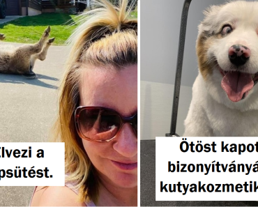 20 fénykép, ami reggeltől estig elnyújtja a mosolyt az arcodon