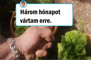 11 személy, akik az élet nehézségeit egyszerűen szerették volna megoldani, de a világ ezt másképp gondolta