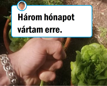 11 személy, akik az élet nehézségeit egyszerűen szerették volna megoldani, de a világ ezt másképp gondolta