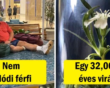 11 dolog, amiről nem gondoltuk, hogy létezik, és most nem tudjuk elfelejteni