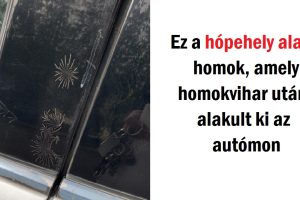 20+ szituáció, amikor az anyatermészet túlságosan pihent volt, és egy kicsit megfűszerezte „áldozatait”