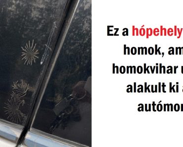 20+ szituáció, amikor az anyatermészet túlságosan pihent volt, és egy kicsit megfűszerezte „áldozatait”