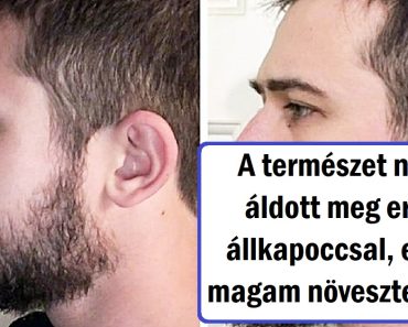 15 vonzó férfi, akit a szakálla egy teljesen másik emberré varázsolta