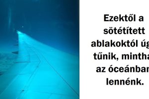 20 fotó, amely elsőre látásra megkavar, később pedig ámulatba ejt