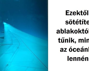 20 fotó, amely elsőre látásra megkavar, később pedig ámulatba ejt