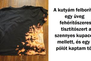 15 helyzet, amikor valaki létrehozott véletlenül egy kisebbfajta műalkotást