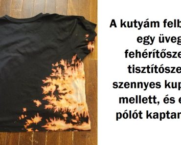 15 helyzet, amikor valaki létrehozott véletlenül egy kisebbfajta műalkotást