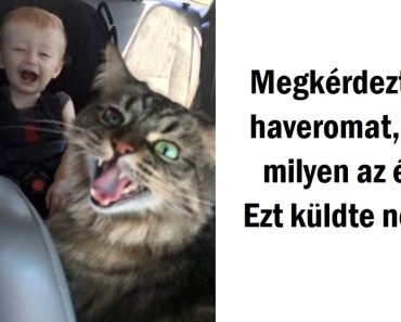 20+ fotó, ami bizonyítja, a tökéletes momentum időzítése egy különleges képesség