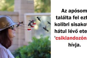 24 helyzet, amikor az anyatermészet úgy döntött, hogy a közelünkbe férkőzik
