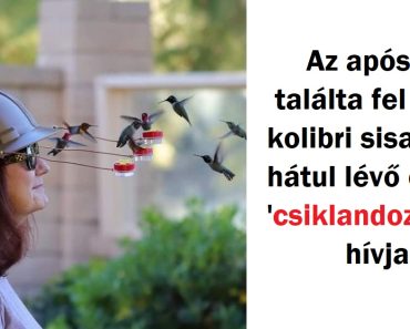 24 helyzet, amikor az anyatermészet úgy döntött, hogy a közelünkbe férkőzik