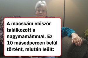 15 megindító sztori, amely bebizonyítja, hogy a nagymamáink a világ legnagyobb csodája
