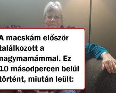 15 megindító sztori, amely bebizonyítja, hogy a nagymamáink a világ legnagyobb csodája