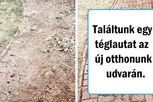 19 fotó, ami megmutatja, hogy egy terület rendberakása hatalmas eltérést jelent
