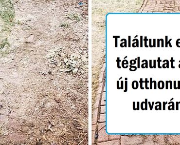 19 fotó, ami megmutatja, hogy egy terület rendberakása hatalmas eltérést jelent