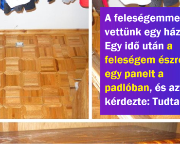 18 eset, amikor néhány ember talált egy rejtett helyiséget a házában