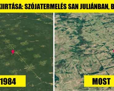 20+ fotó, amely bemutatja, milyen drasztikusan megváltozott a Földünk az eltelt évtizedekben