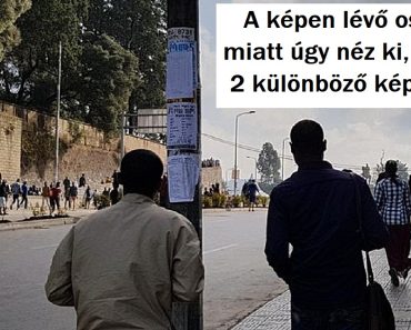 20 kellemetlen fénykép, amely elgondolkodtatott bennünket: „Hát itt meg mi folyik?”