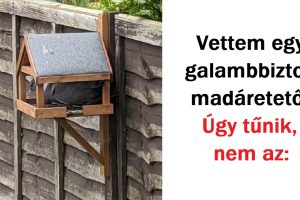 15+ személy, akik nagy árat fizettek valamiért, amiről kiderült, hogy csak kidobott pénz volt