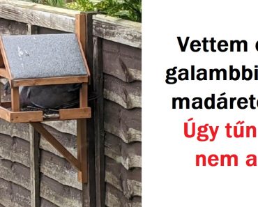 15+ személy, akik nagy árat fizettek valamiért, amiről kiderült, hogy csak kidobott pénz volt