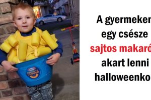 19 fénykép, ami biztosan megmosolyogtat majd