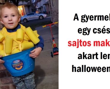 19 fénykép, ami biztosan megmosolyogtat majd