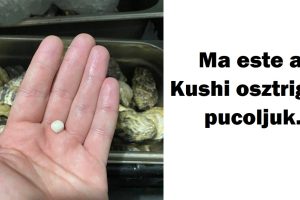 20 helyzet, amely a számunkra különös lehet, de teljes egészében hétköznapi egy konyhai dolgozónak