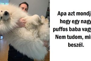 18 fénykép, ami kiváló bizonyíték, hogy a gigantikus “kiskedvenceknek” különleges aurájuk van