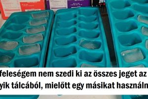 15+ személy, aki teljesen biztos abban, hogy jól csinálja a dolgait