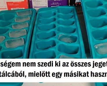 15+ személy, aki teljesen biztos abban, hogy jól csinálja a dolgait