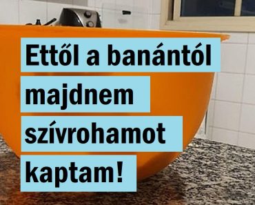 16 fotó, ami bebizonyítja, hogy a realitás néha túlmegy minden képzeleten