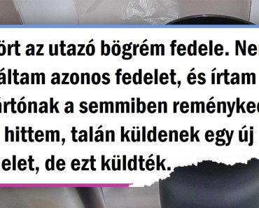 19 fotó, amelyek bizonyítják, hogy a szolgáltatás hihetetlenül szívhez szóló lehet