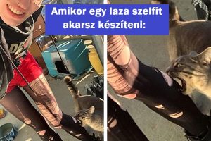17 fotó, ami néhány másodperccel a káosz előtt készült